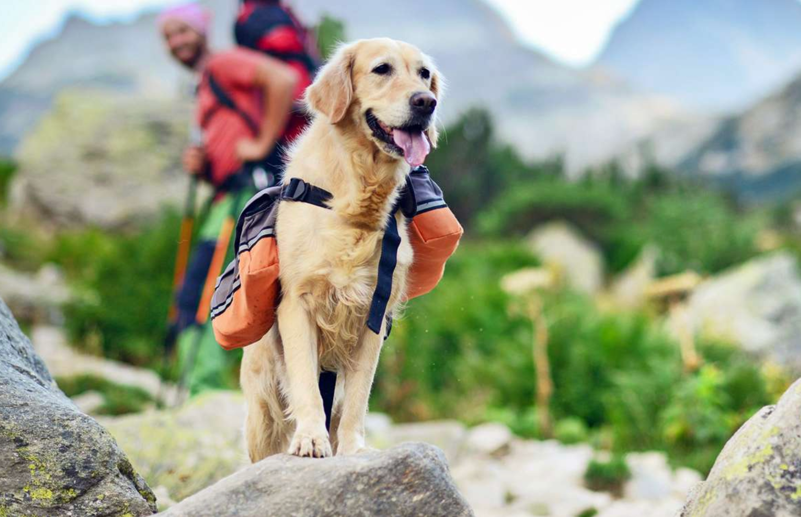 Private/ Solo Adventure